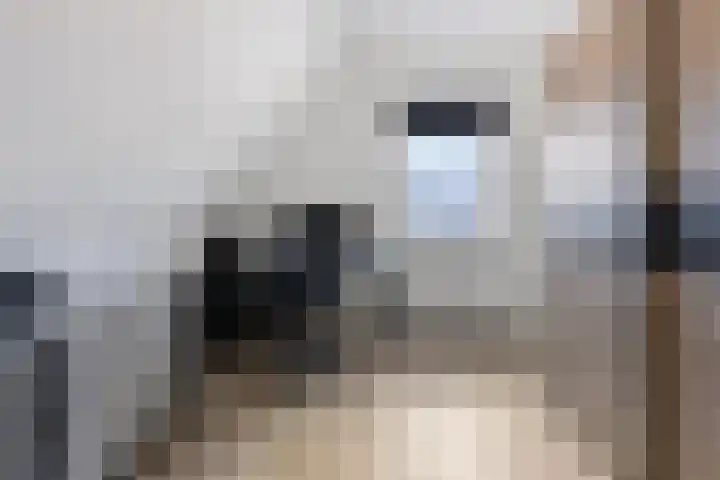 Piet Snoeijersstraat 26 Steenbergen thumbnail 23