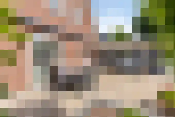 Piet Snoeijersstraat 26 Steenbergen thumbnail 31