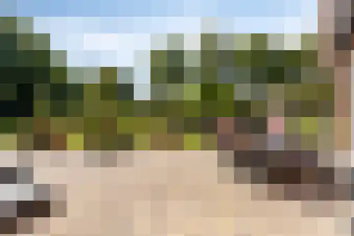 Piet Snoeijersstraat 26 Steenbergen thumbnail 32