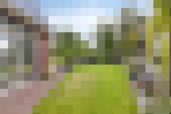 Piet Snoeijersstraat 26 Steenbergen thumbnail 34