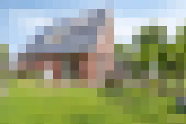 Piet Snoeijersstraat 26 Steenbergen thumbnail 35