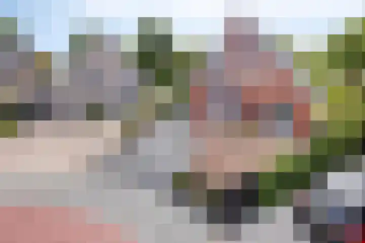 Piet Snoeijersstraat 26 Steenbergen thumbnail 37