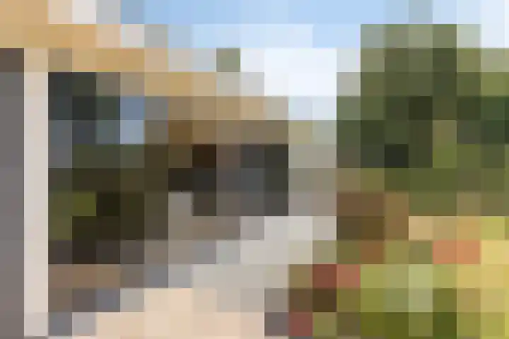 Piet Snoeijersstraat 26 Steenbergen thumbnail 4