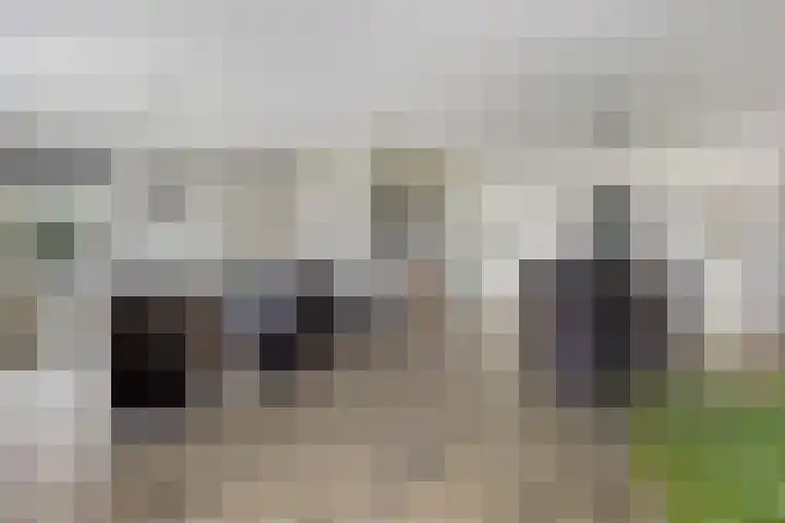 Piet Snoeijersstraat 26 Steenbergen thumbnail 5