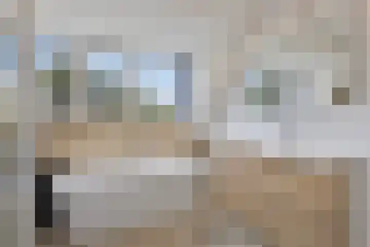 Piet Snoeijersstraat 26 Steenbergen thumbnail 8