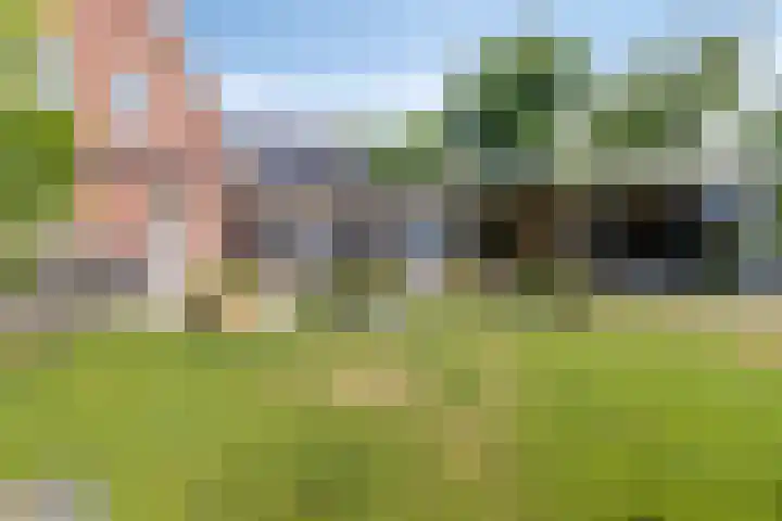 Piet Snoeijersstraat 26 Steenbergen thumbnail 9
