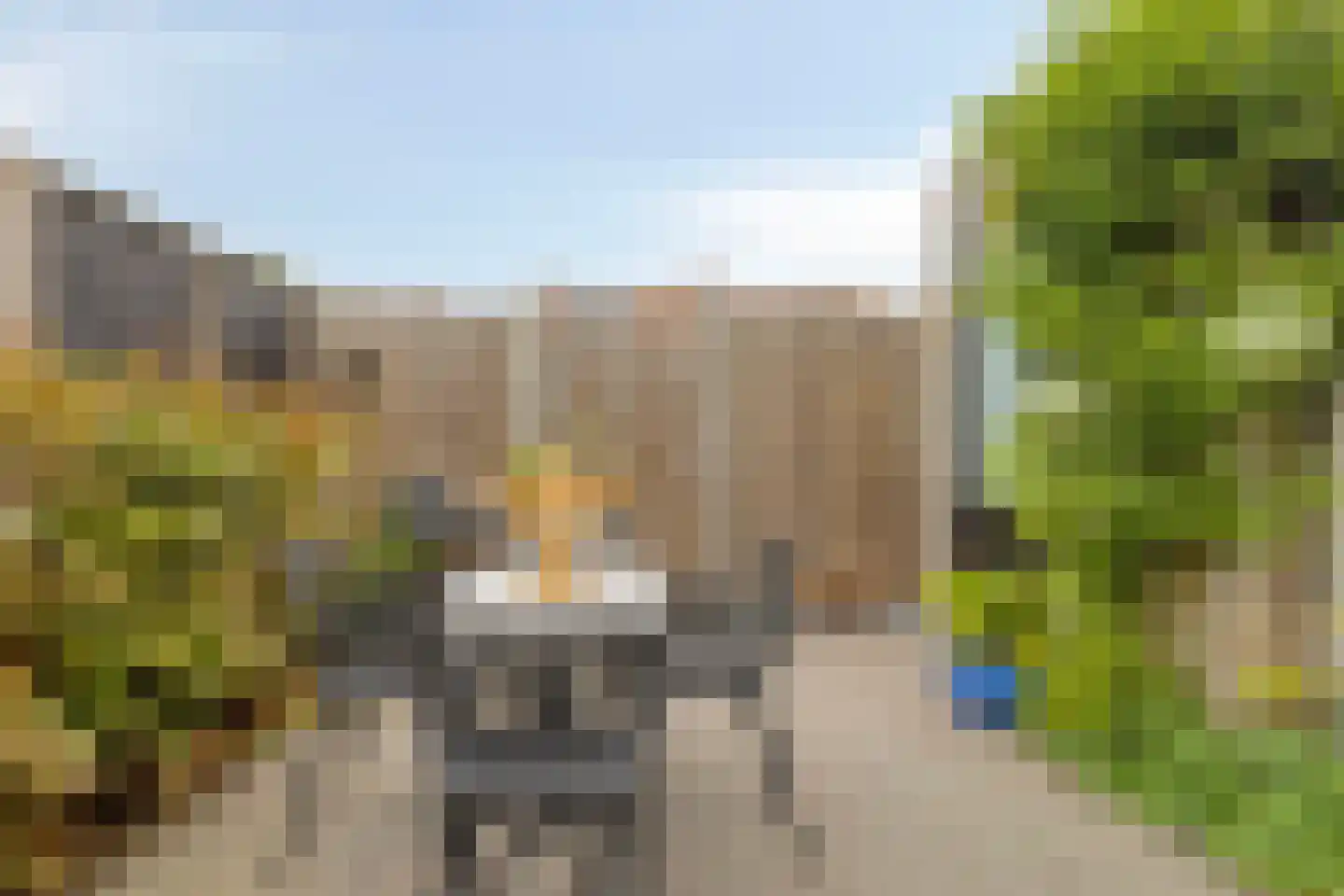 Piet Snoeijersstraat 44 Steenbergen thumbnail 20