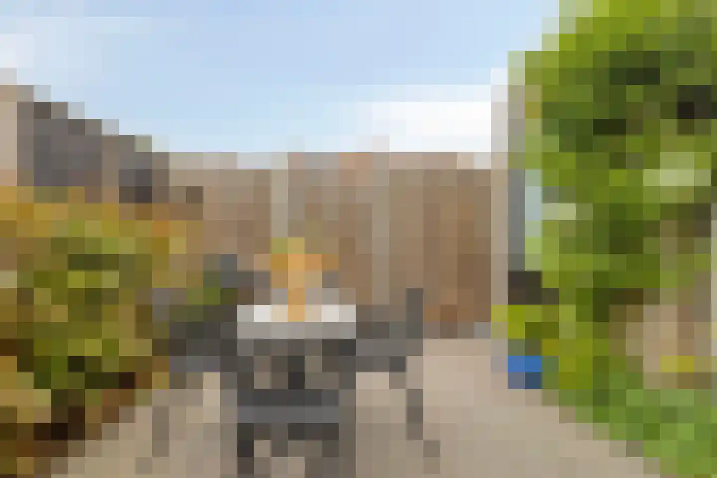 Piet Snoeijersstraat 44 Steenbergen thumbnail 22