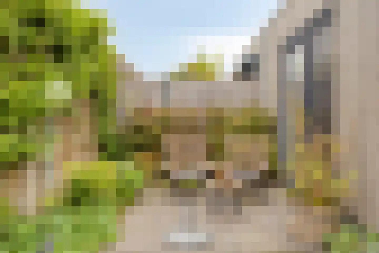 Piet Snoeijersstraat 44 Steenbergen thumbnail 6