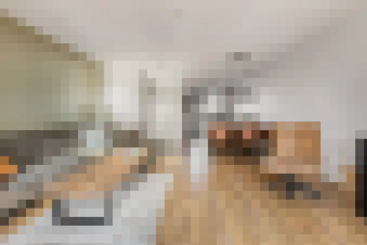 Piet Snoeijersstraat 6 Steenbergen thumbnail 14