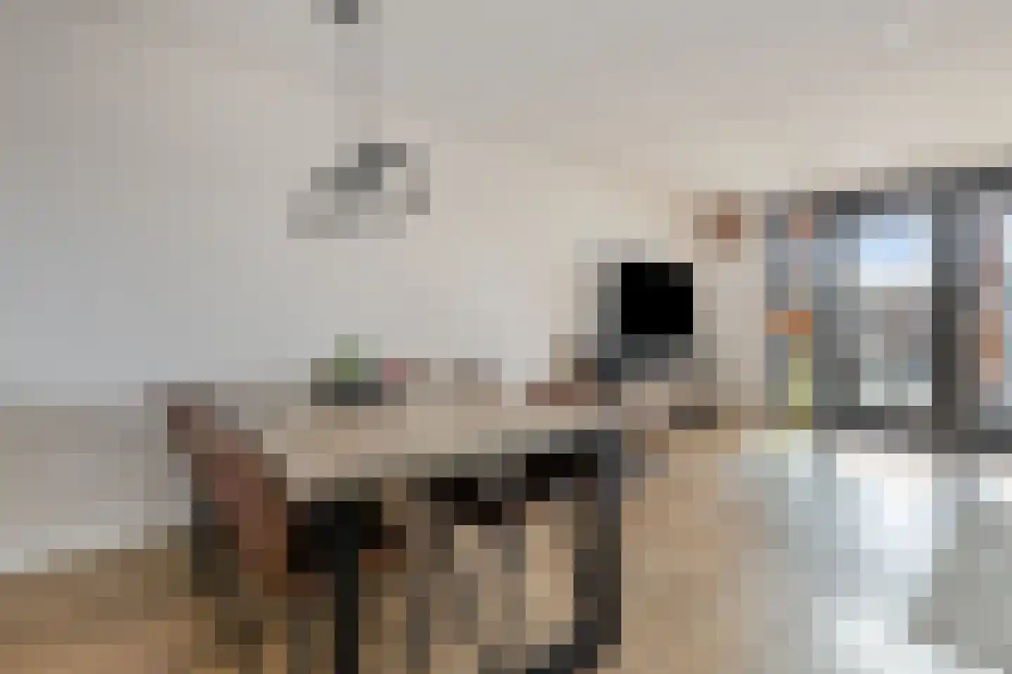 Piet Snoeijersstraat 6 Steenbergen thumbnail 17