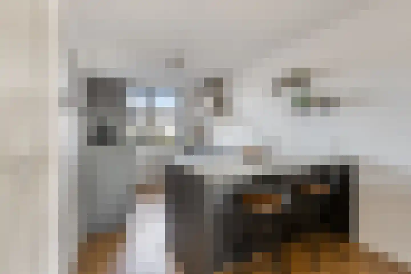 Piet Snoeijersstraat 6 Steenbergen thumbnail 20