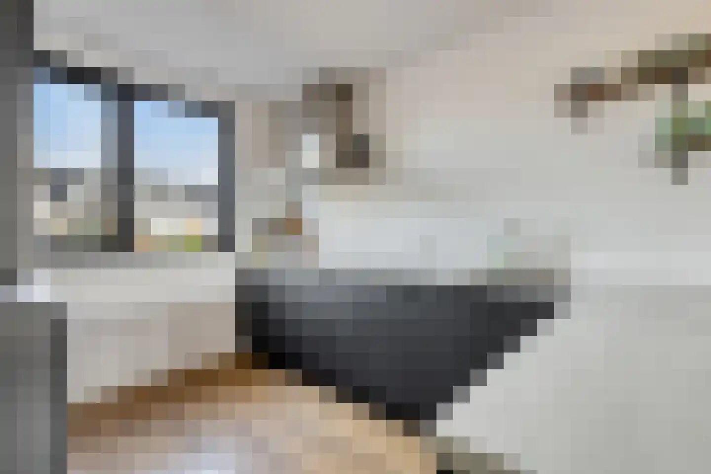 Piet Snoeijersstraat 6 Steenbergen thumbnail 21