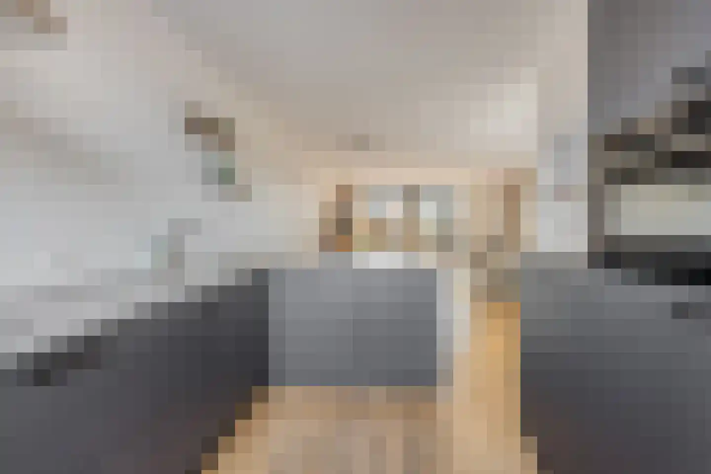 Piet Snoeijersstraat 6 Steenbergen thumbnail 22