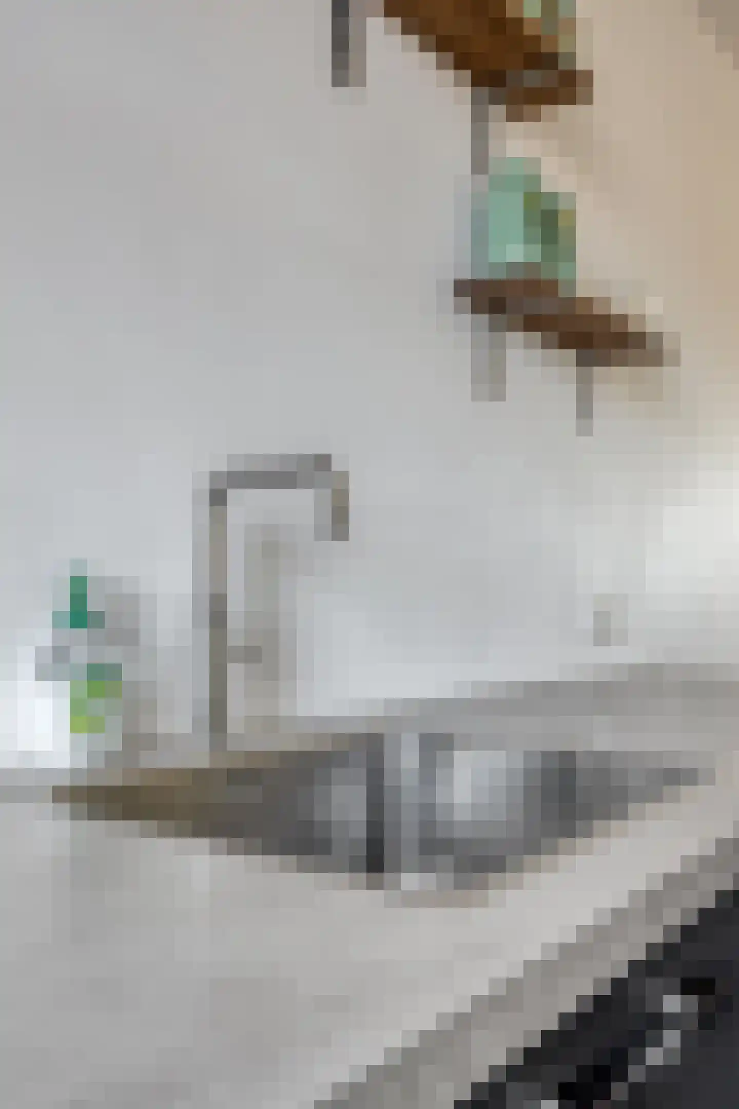 Piet Snoeijersstraat 6 Steenbergen thumbnail 23