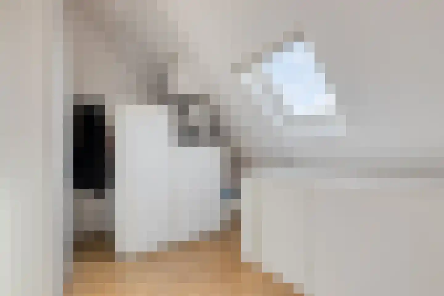 Piet Snoeijersstraat 6 Steenbergen thumbnail 38