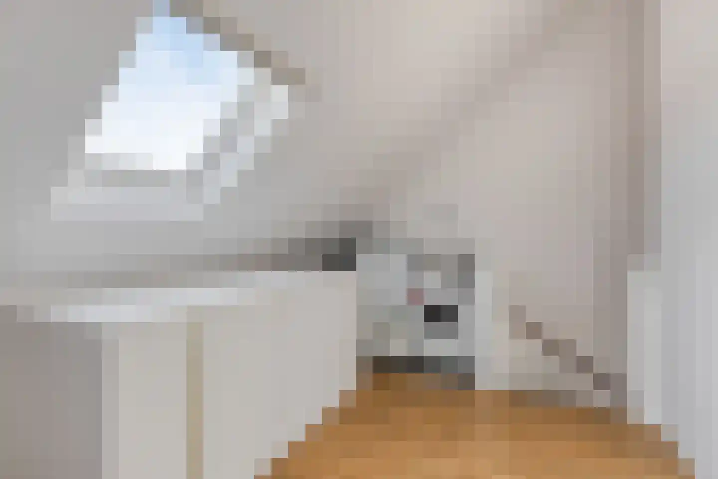 Piet Snoeijersstraat 6 Steenbergen thumbnail 39