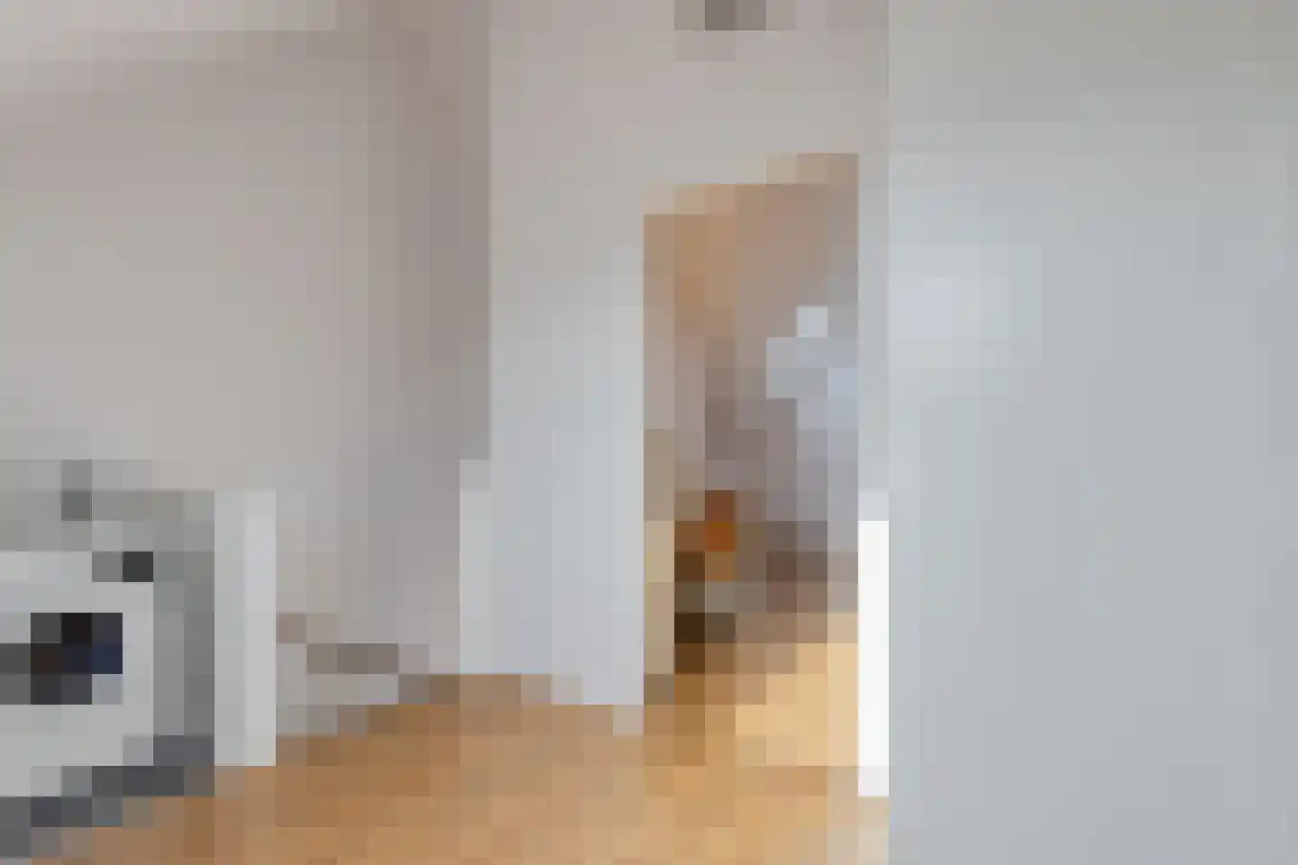 Piet Snoeijersstraat 6 Steenbergen thumbnail 40