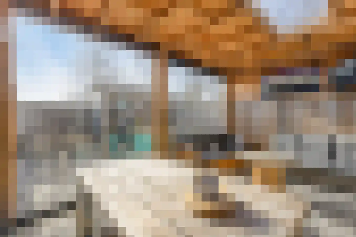 Piet Snoeijersstraat 6 Steenbergen thumbnail 44
