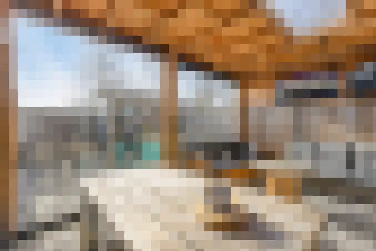Piet Snoeijersstraat 6 Steenbergen thumbnail 44