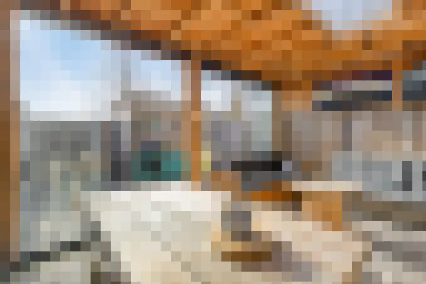 Piet Snoeijersstraat 6 Steenbergen thumbnail 45