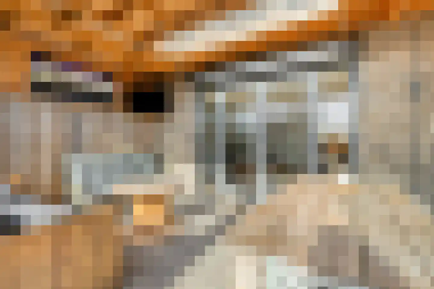 Piet Snoeijersstraat 6 Steenbergen thumbnail 47