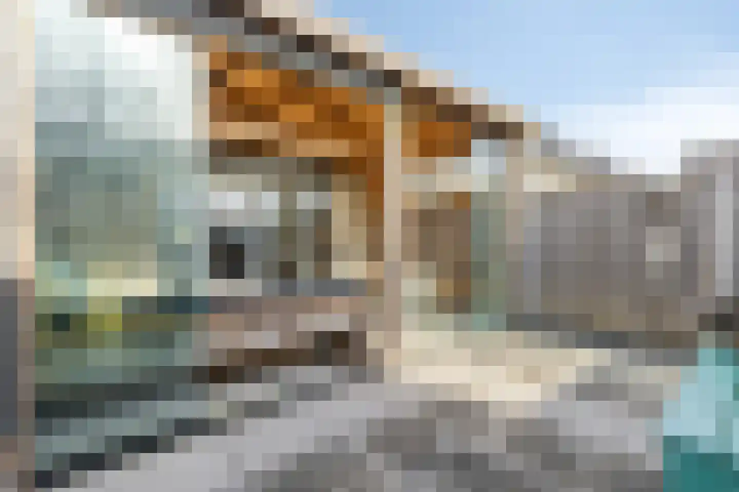 Piet Snoeijersstraat 6 Steenbergen thumbnail 50