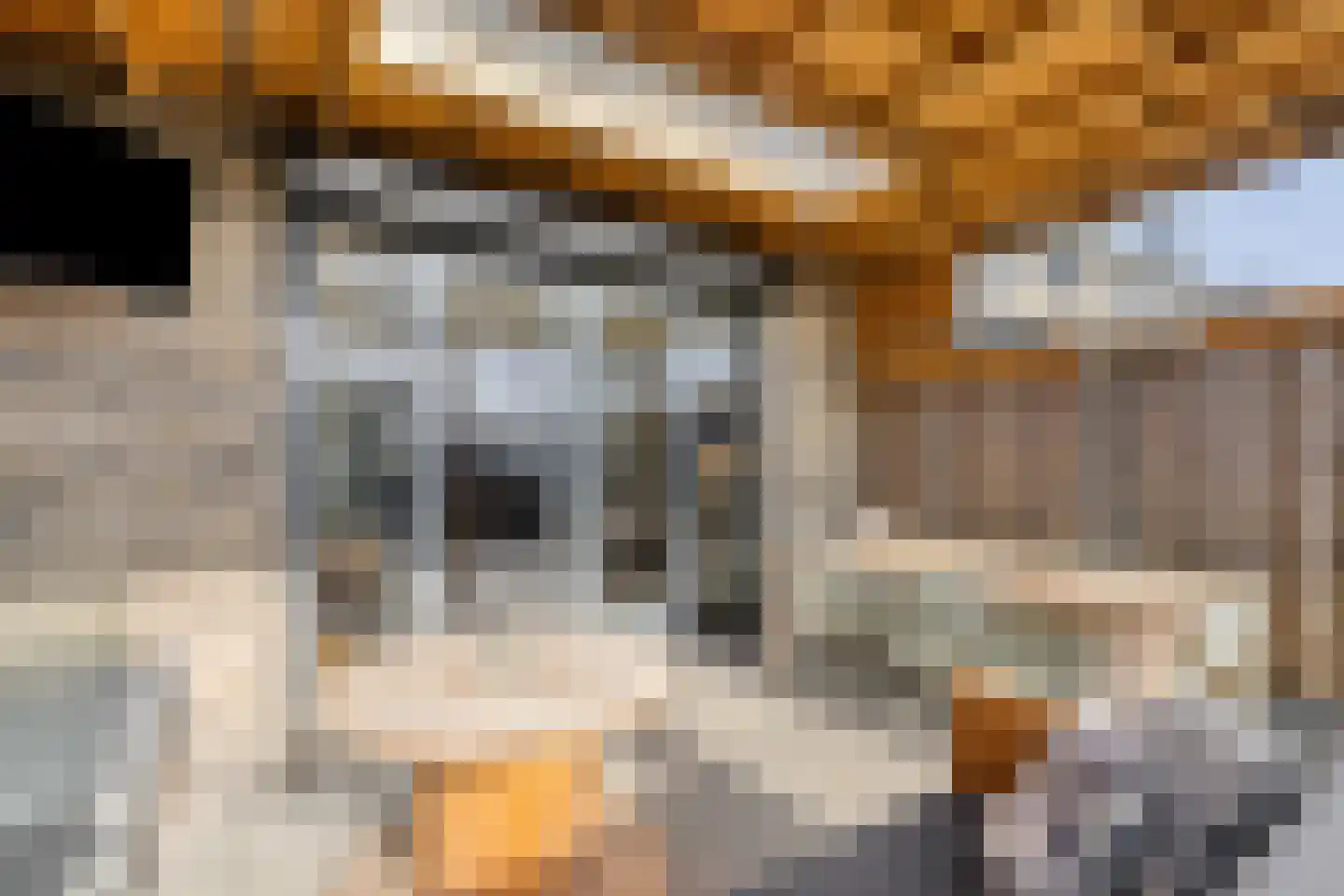 Piet Snoeijersstraat 6 Steenbergen thumbnail 51