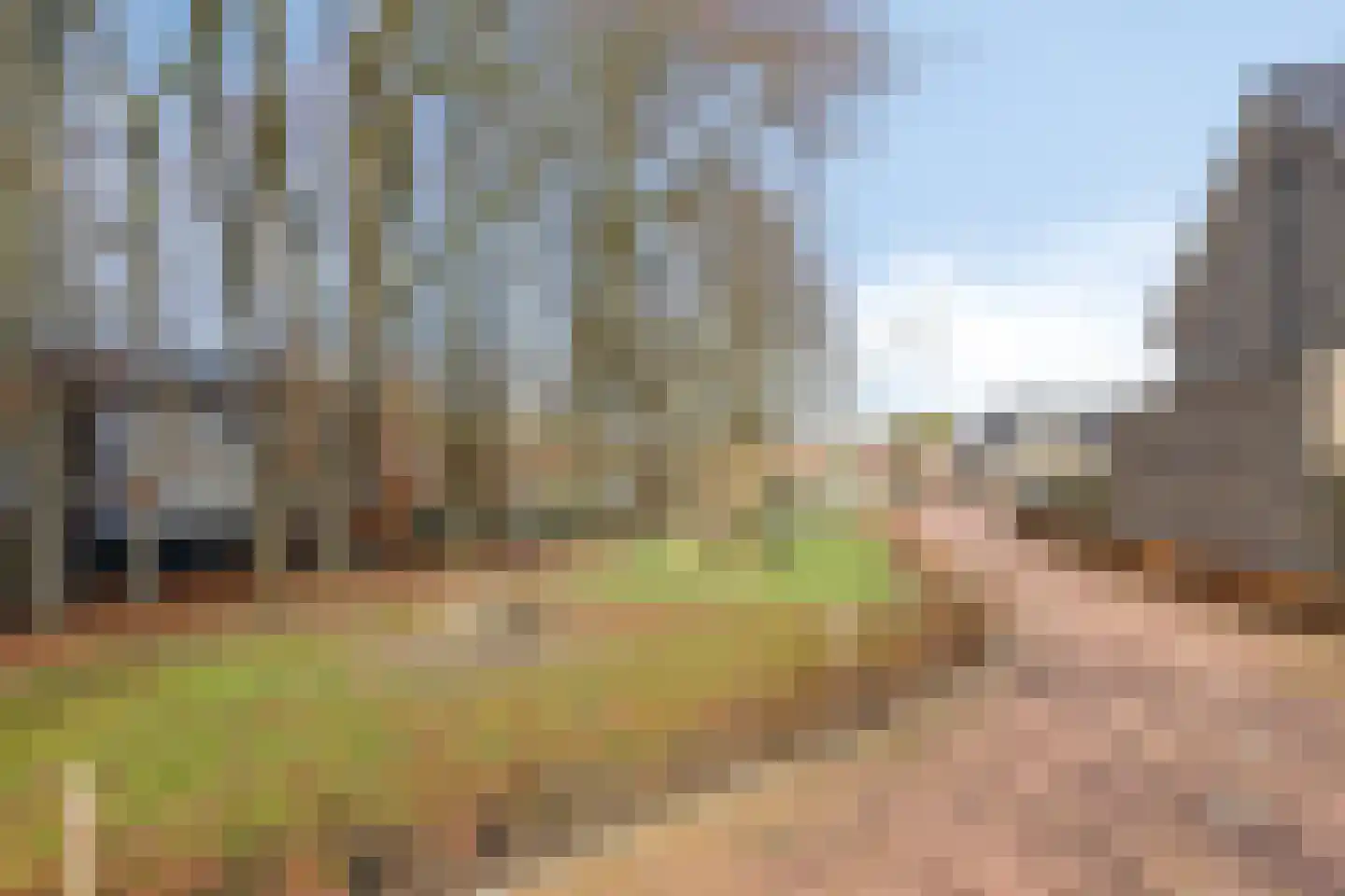 Piet Snoeijersstraat 6 Steenbergen thumbnail 58