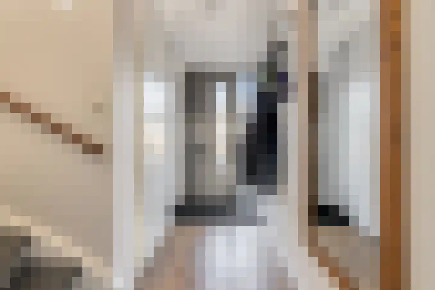 Piet Snoeijersstraat 6 Steenbergen thumbnail 7