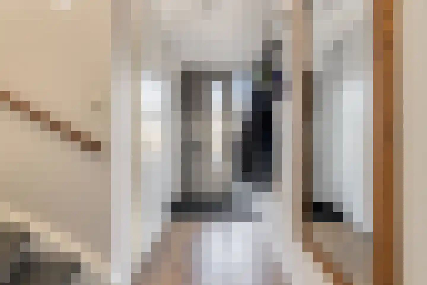 Piet Snoeijersstraat 6 Steenbergen thumbnail 7