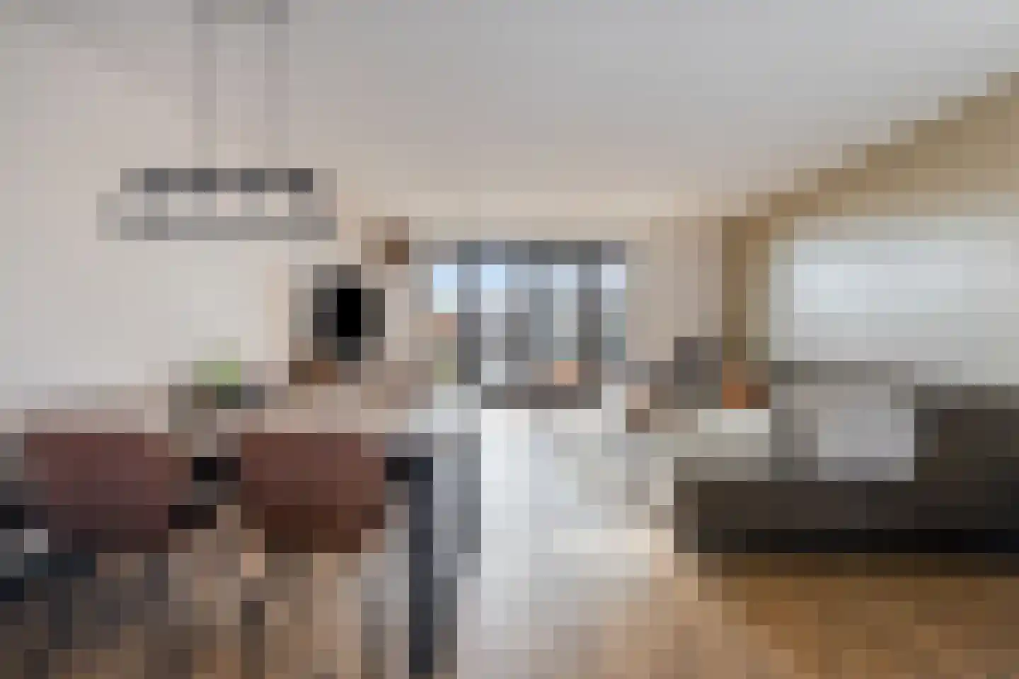 Piet Snoeijersstraat 6 Steenbergen thumbnail 9