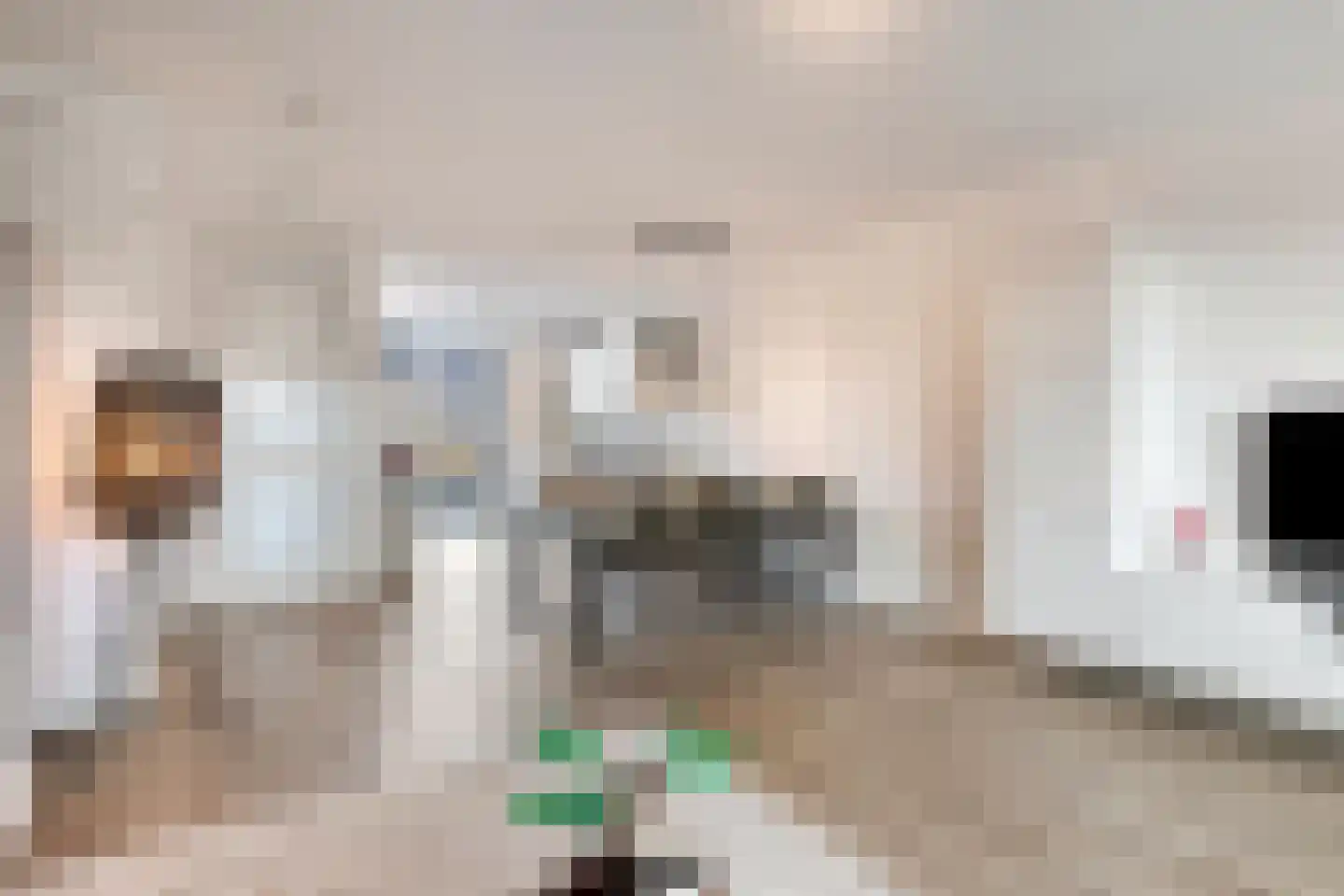 Piet Snoeijersstraat 8 Steenbergen thumbnail 10