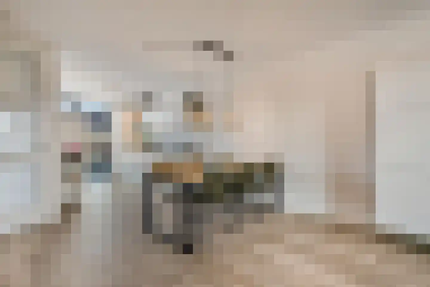 Piet Snoeijersstraat 8 Steenbergen thumbnail 12