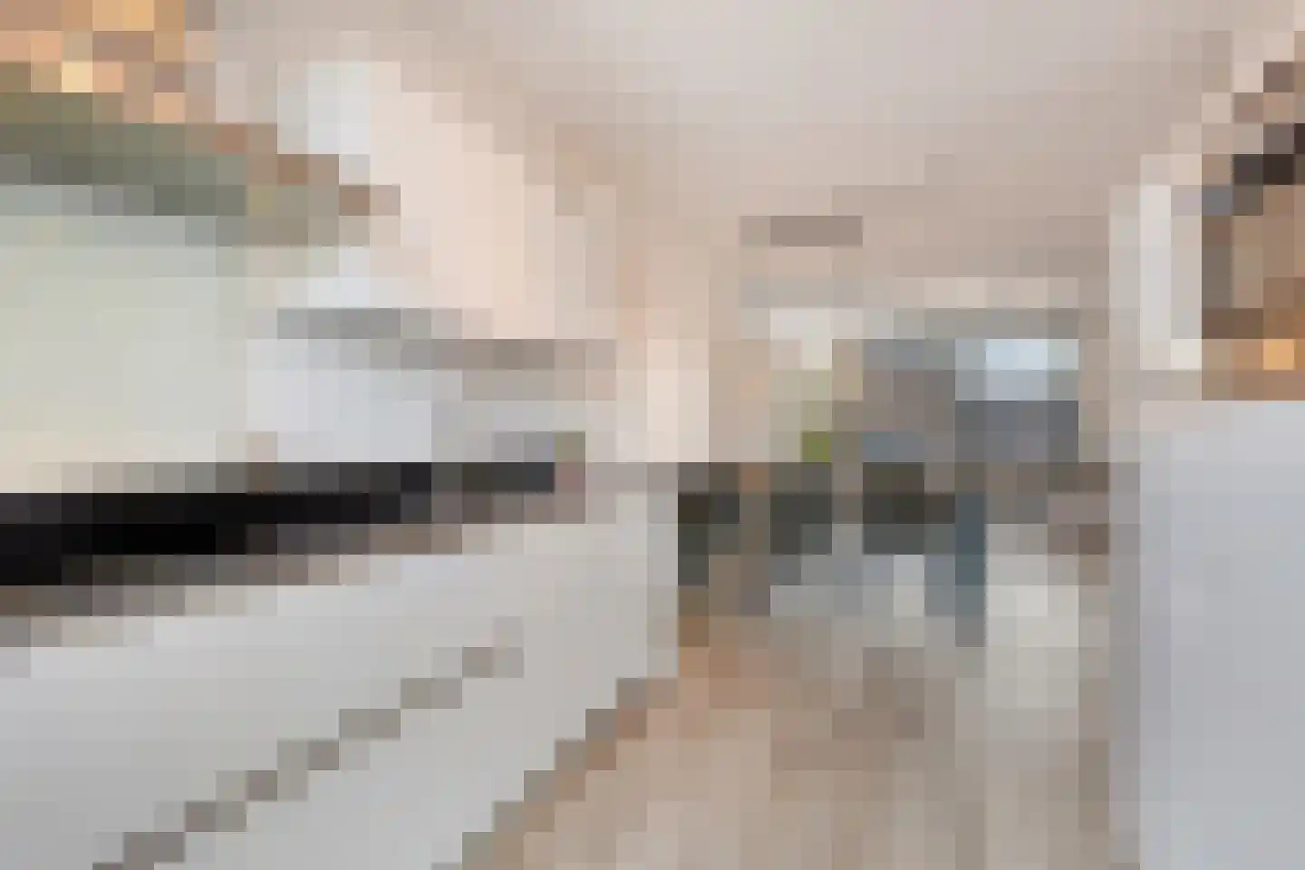 Piet Snoeijersstraat 8 Steenbergen thumbnail 14