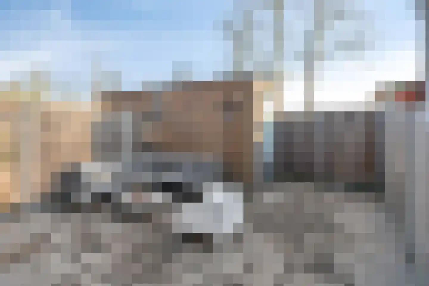 Piet Snoeijersstraat 8 Steenbergen thumbnail 30