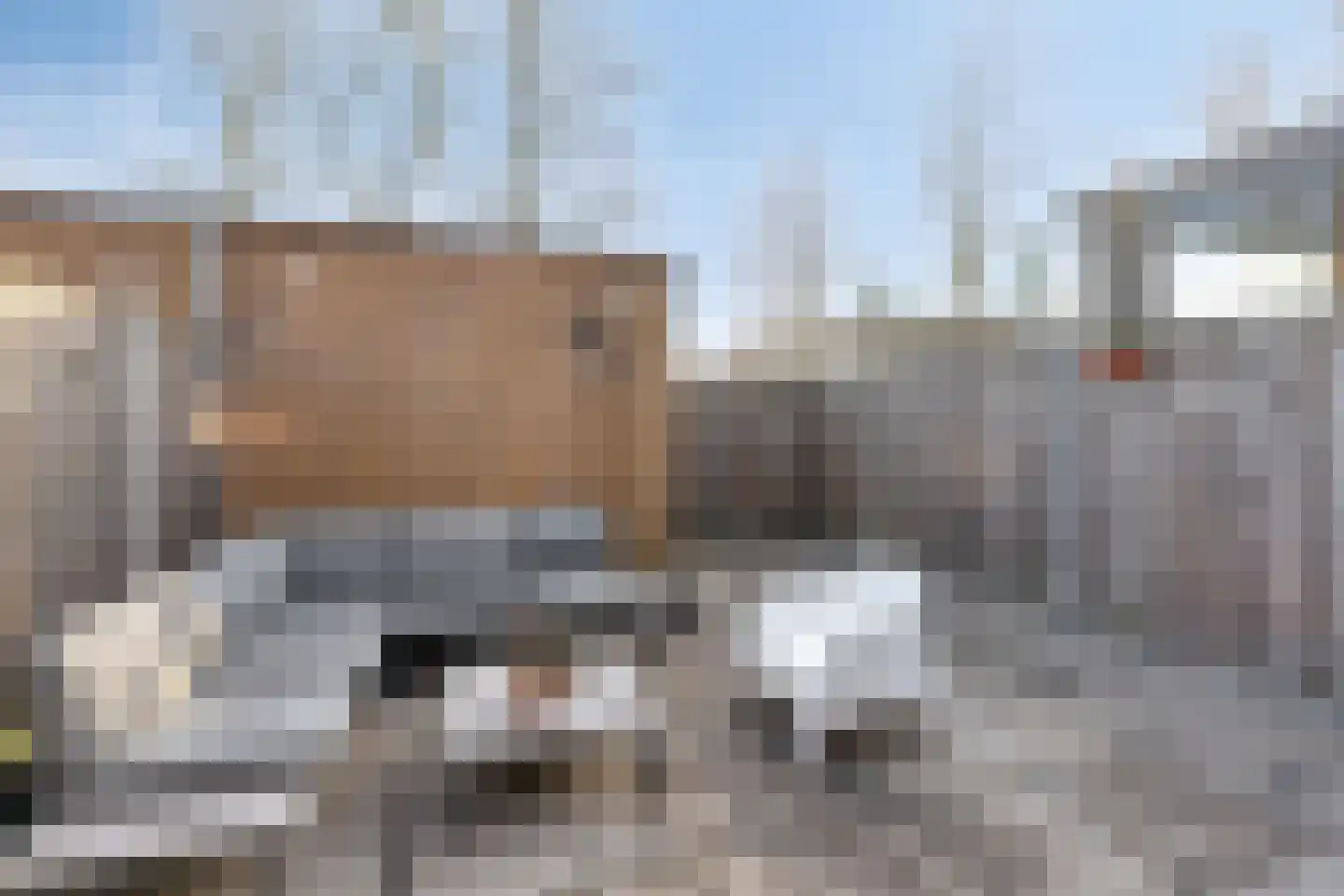 Piet Snoeijersstraat 8 Steenbergen thumbnail 31