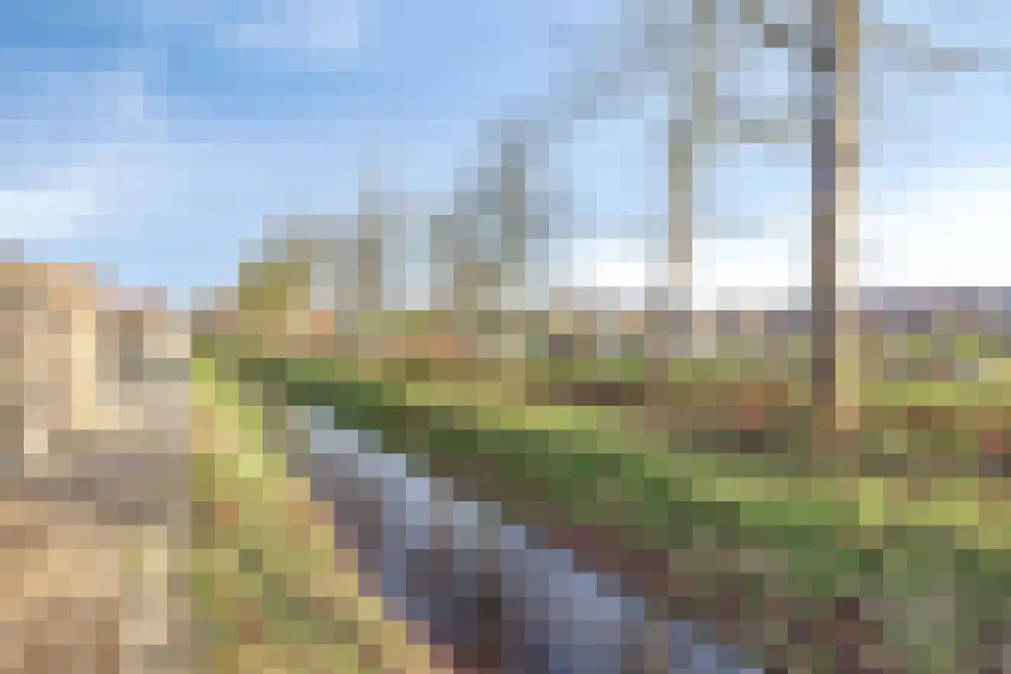 Piet Snoeijersstraat 8 Steenbergen thumbnail 34