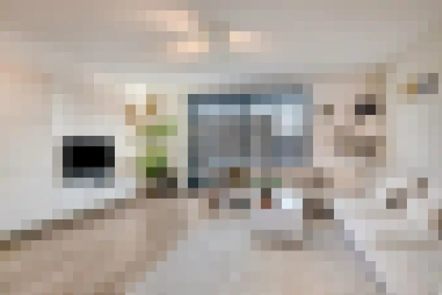 Piet Snoeijersstraat 8 Steenbergen thumbnail 8