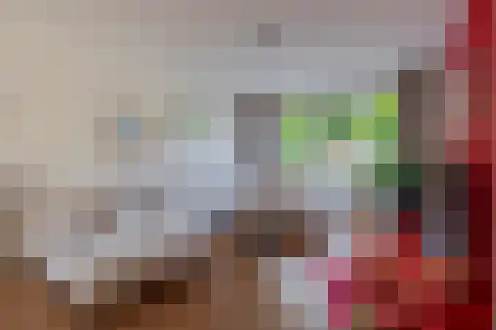Piet Soerplantsoen 47 Helmond thumbnail 11