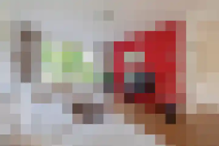Piet Soerplantsoen 47 Helmond thumbnail 12