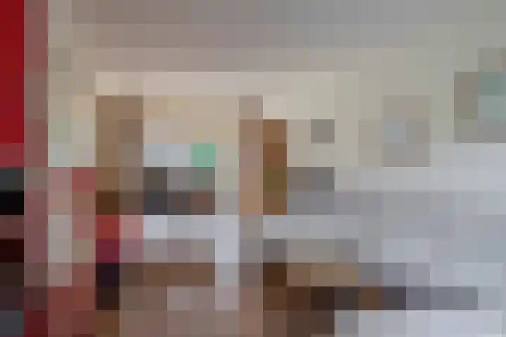 Piet Soerplantsoen 47 Helmond thumbnail 13