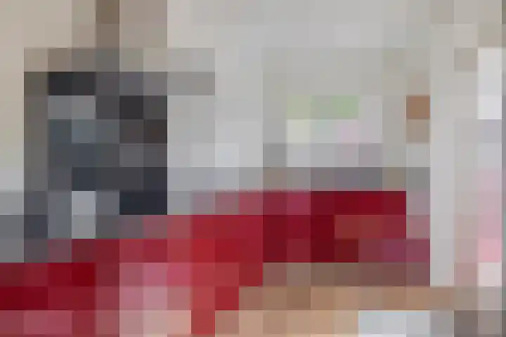 Piet Soerplantsoen 47 Helmond thumbnail 17