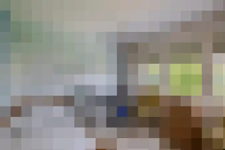 Piet Soerplantsoen 47 Helmond thumbnail 22