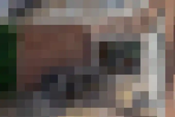 Piet Soerplantsoen 47 Helmond thumbnail 30