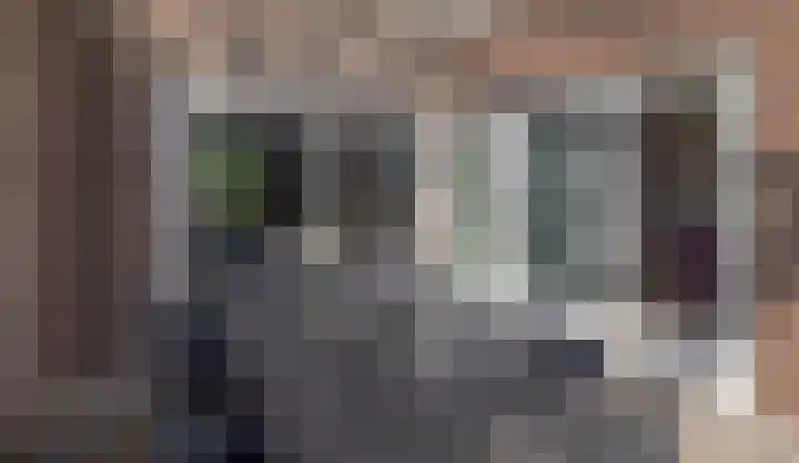 Piet Soerplantsoen 47 Helmond thumbnail 32