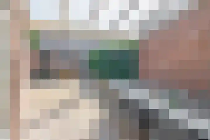 Piet Soerplantsoen 47 Helmond thumbnail 33
