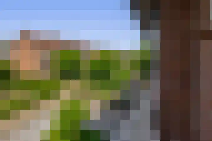 Piet Soerplantsoen 47 Helmond thumbnail 35