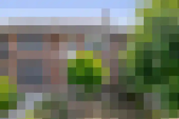 Piet Soerplantsoen 47 Helmond thumbnail 5