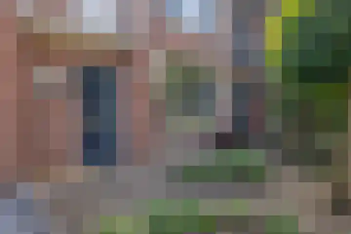 Piet Soerplantsoen 47 Helmond thumbnail 6
